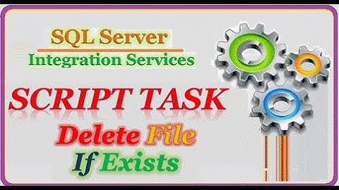 SSIS - Delete Existing File By Script Task