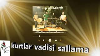 Kurtlar Vadisi Sallama
