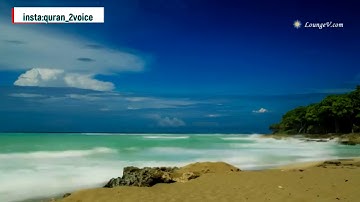 ما تيسر من سورة النبأ 💜 ( انس ابو عمر)