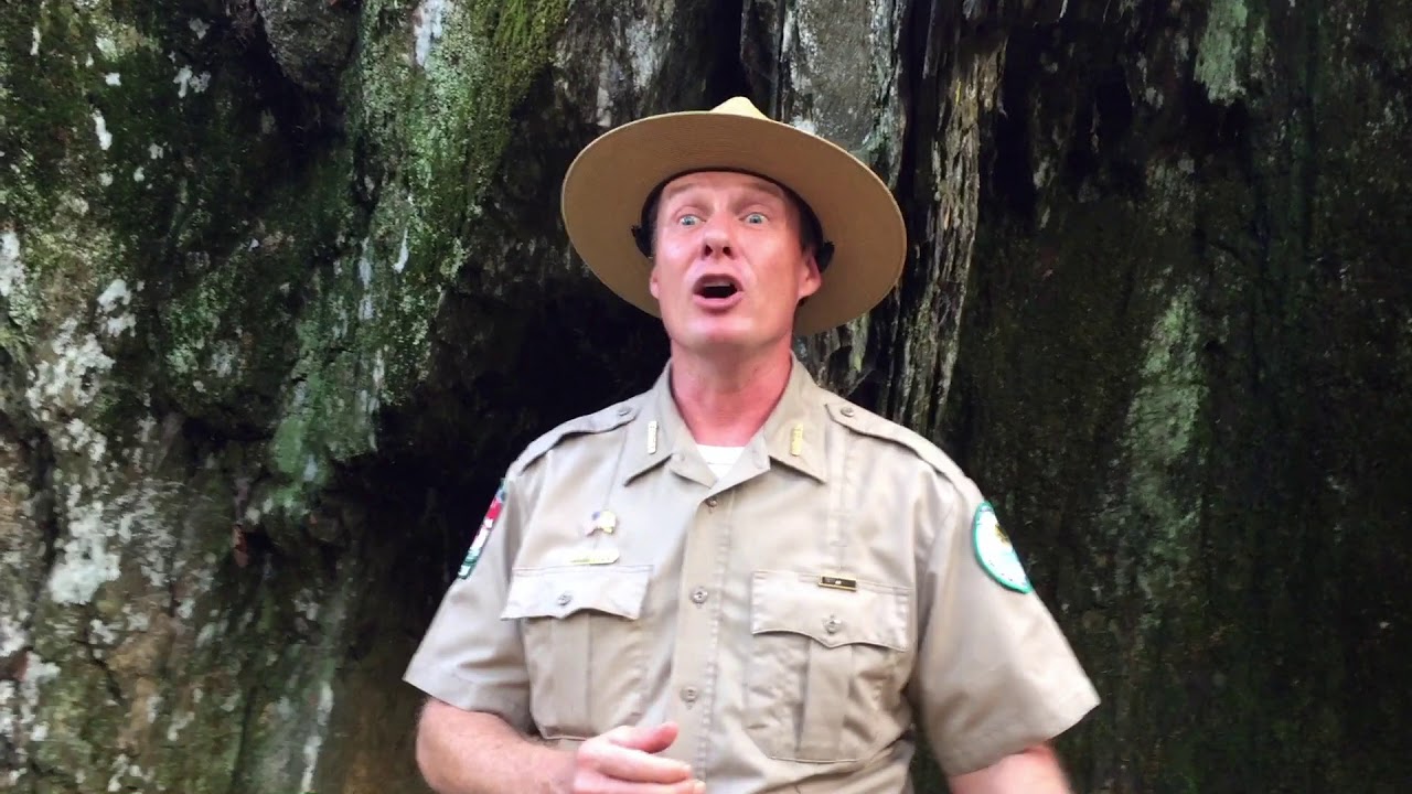 Park Ranger Erik Ledbetter describes scenes from “The Blair Witch