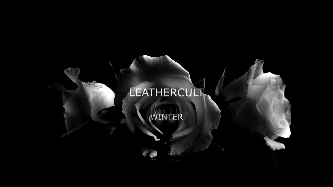 𝔏𝔢𝔞𝔱𝔥𝔢𝔯𝔠𝔲𝔩𝔱 - 𝔚𝔦𝔫𝔱𝔢𝔯