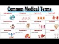 Common medical terms  medical terminology  parts2