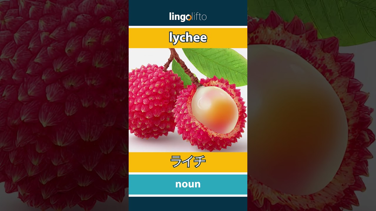 lychee - ライチ learn English 英語を学ぼう vocabulary builder