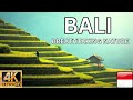 4K VIDEO UHD Bali Indonesia Drone Footages Amazing Nature Scenery &amp; Relaxing Music for Stress Relief