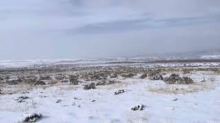 Day 4 in Unit 11 Colorado