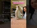 #ranking #best #crochet #ever #