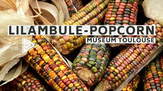 Lilambule // Popcorn // Museum Toulouse