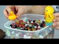 Поиграйка с Егором - Утёнок и Цыпленок играют в Яйца Киндер сюрприз и шарики Орбиз