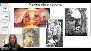 Observations vs Inferences
