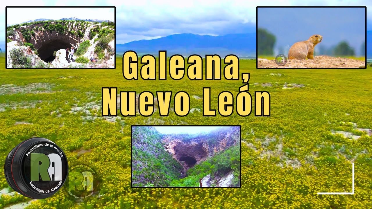 Galeana, Nuevo León | Reportajes de Alvarado Lunes 16 de Junio 2025 - Televisa Monterrey