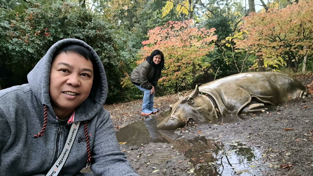 Woodland Park Zoo - Seattle, Washington, 9 November 2024 - YouTube