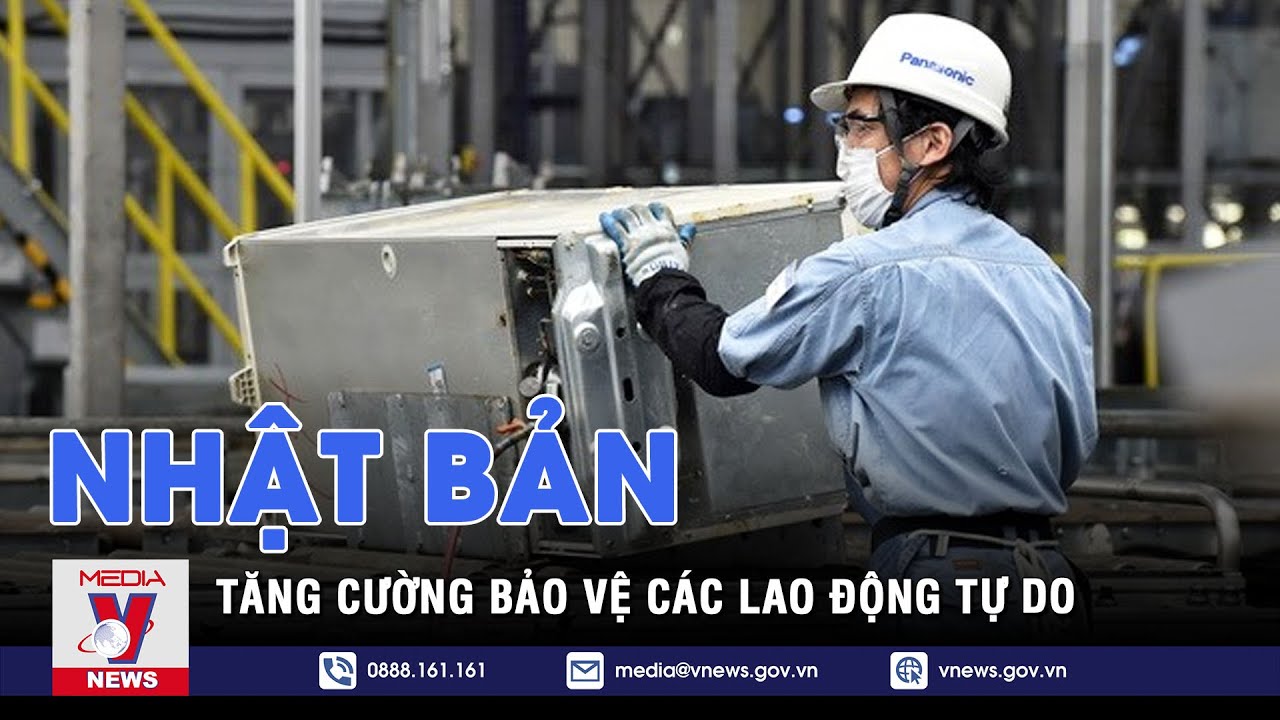 Cảnh Giác Cạm Bẫy và Lưu Ý Quan Trọng Khi Tìm Công Ty Xuất Khẩu Lao Động Nhật Bản Uy Tín tại Bến Tre