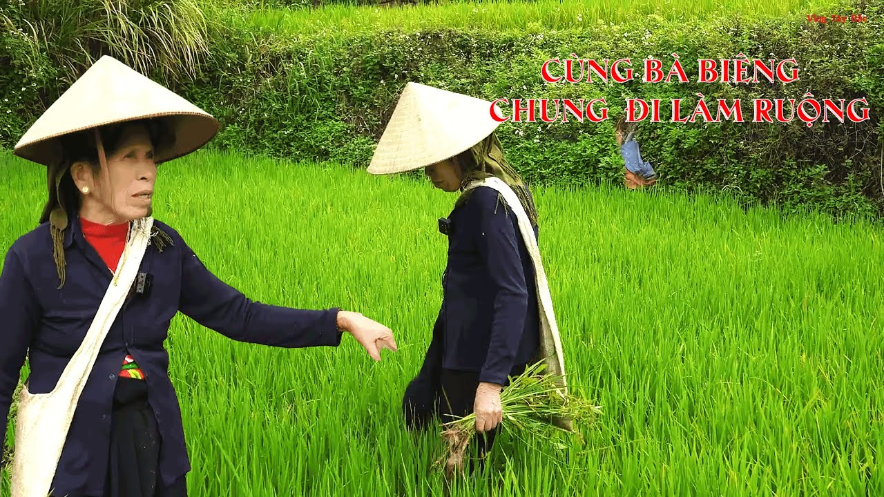 [Hát Thái] Bà Bieng Chung Đi Làm Cỏ Ruộng Hát Cực Hay Và Hấp Dẫn | Pày Le Na Êm Nai Biềng Chung