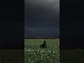 Tu hi Mare Ryar #reels #instagram #lovesong #lofi #shorts #lovesong