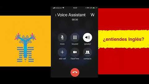 IBM Watson Voice Agent with Language Translator