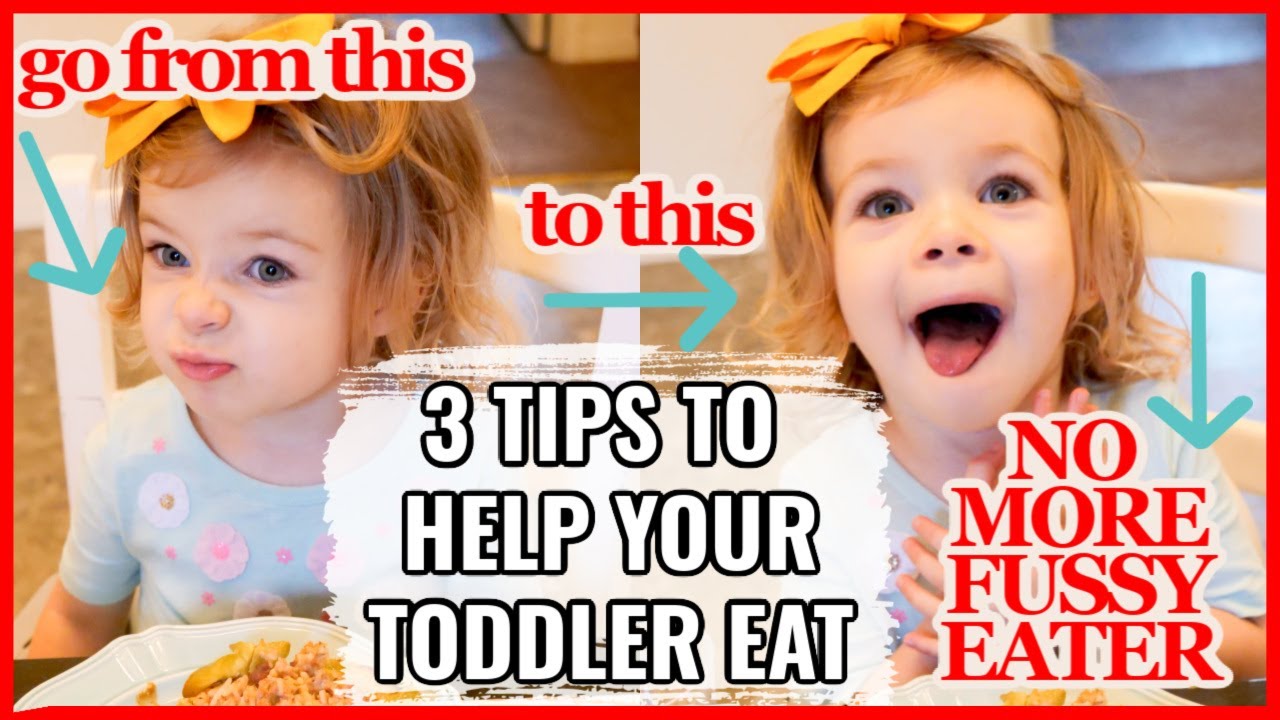 TODDLER PICKY EATER TIPS - YouTube