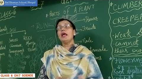 Class 6  Science chapter 7 Getting to know plants(video 1 Introduction)