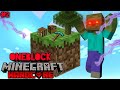 Almost died in Minecraft Hardcore Oneblock(EP 2) ||Gaming with AngryAli