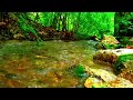 ÁGUAS CORRENTE | FUNDO MUSICAL | SERENIDADE | PAZ | CURA ALMA | CURA ANSIEDADE.