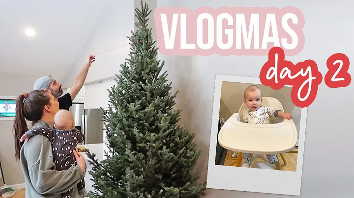 PUTTING UP OUR TREE | VLOGMAS DAY 2 | Sarah Brithinee