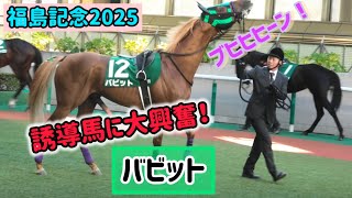【福島記念2025】何度目？誘導馬に興奮しておてぃんを元気にさせてやらかしちゃう金髪イケメン⭐︎バビット
