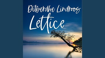 Container Functional