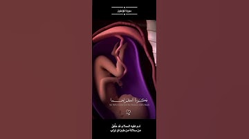 سورة المؤمنون