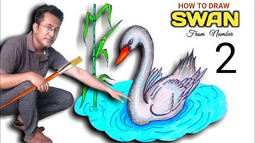 How To Draw A Swan | Draw A Beautiful Swan From Number 2