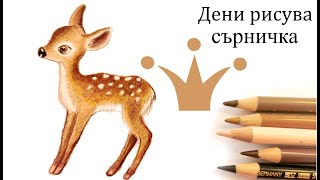 Дени Рисува Сърничка C Цветни Моливи 