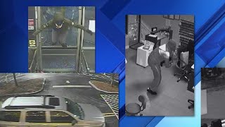 Police investigate multiple armed robberies in Leesburg