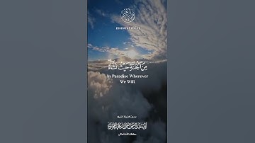 أرح سمعك. تلاوة مؤثرة من آخر سورة الزمر بصوت العلامة يحيى بن علي الحجوري حفظه الله.