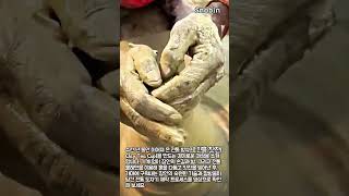 기계 제로! 오직 맨손과 발로 빚어내는 환상적인 진흙 찻잔 제작 기술 #worker #process #amazing #skills #handmade