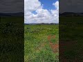 Hermosas nubes