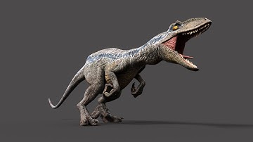 Velociraptor Rig / Animation