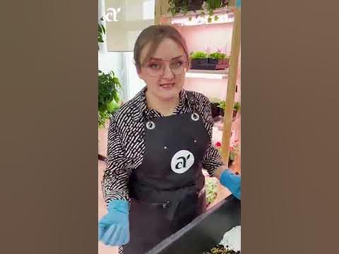 #семена #сад #дача #огород #семенаалтая - YouTube