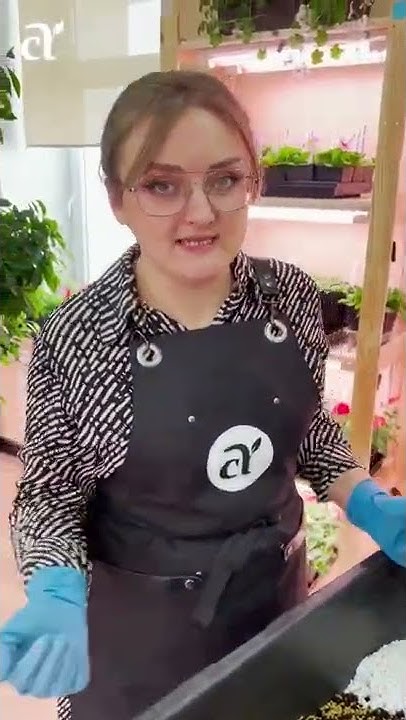 #семена #сад #дача #огород #семенаалтая - YouTube