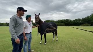 Santiago Ballester estuvo en La Dolfina premiando a Más Claudia que fue jugada por David Stirling,