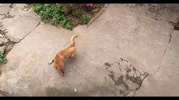 Công Việc Hàng Ngày Của Mình