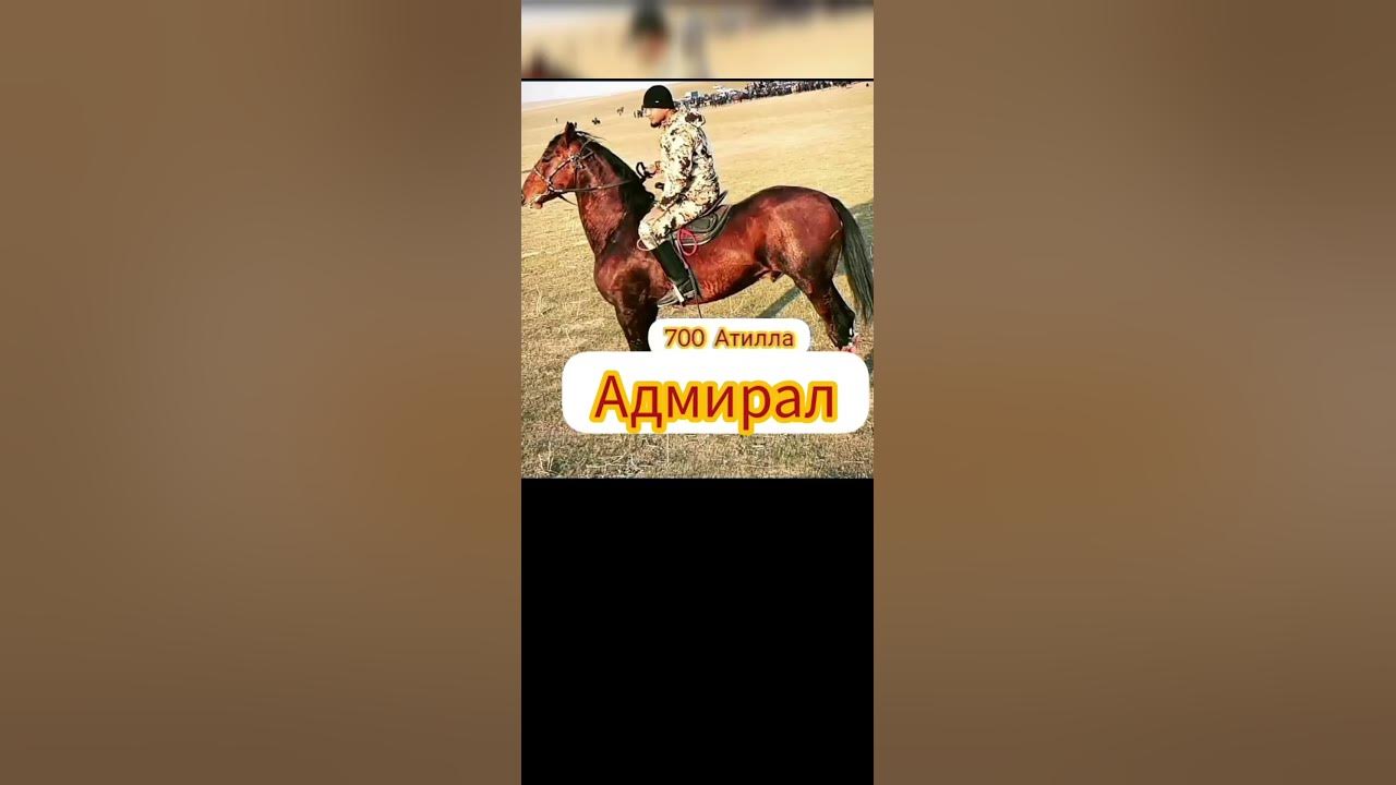 Хит кокпар аттары - YouTube