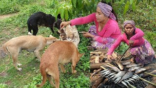 Survival Woman Found Fish For Dog - Build Garden Plant-Eating Delicious HD SreypovTPL