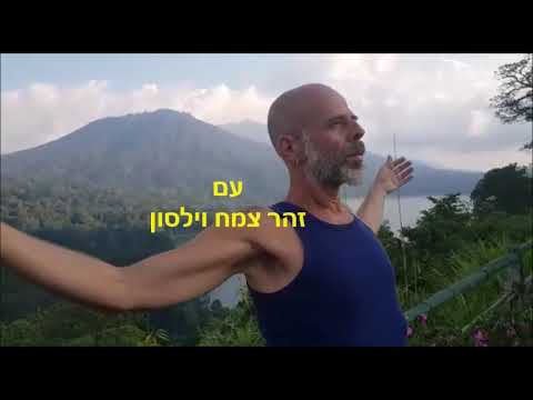 וִידֵאוֹ: מהי מערכת לעיבוד הזמנות?