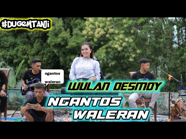 NGANTOS WALERAN CIPT: UJANG CHOPLOX - Wulan Desmoy Feat AKTOR MUDA MUSIK #DugemTanji class=