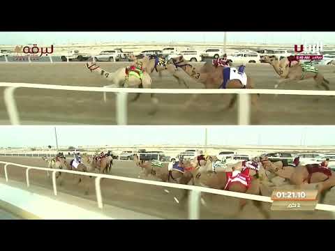 ش9 الذهيبة ل حمد راشد محمد بن صفوة المري التمهيدي السادس 24 8 2024 مفاريد بكار 2 55 81