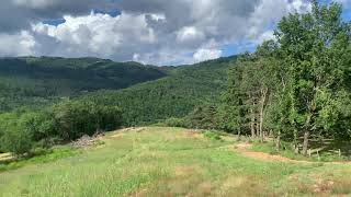 Les Abeilles Et Leurs Ruches Bien Arrivées Pour Le Châtaignier En Ardèche