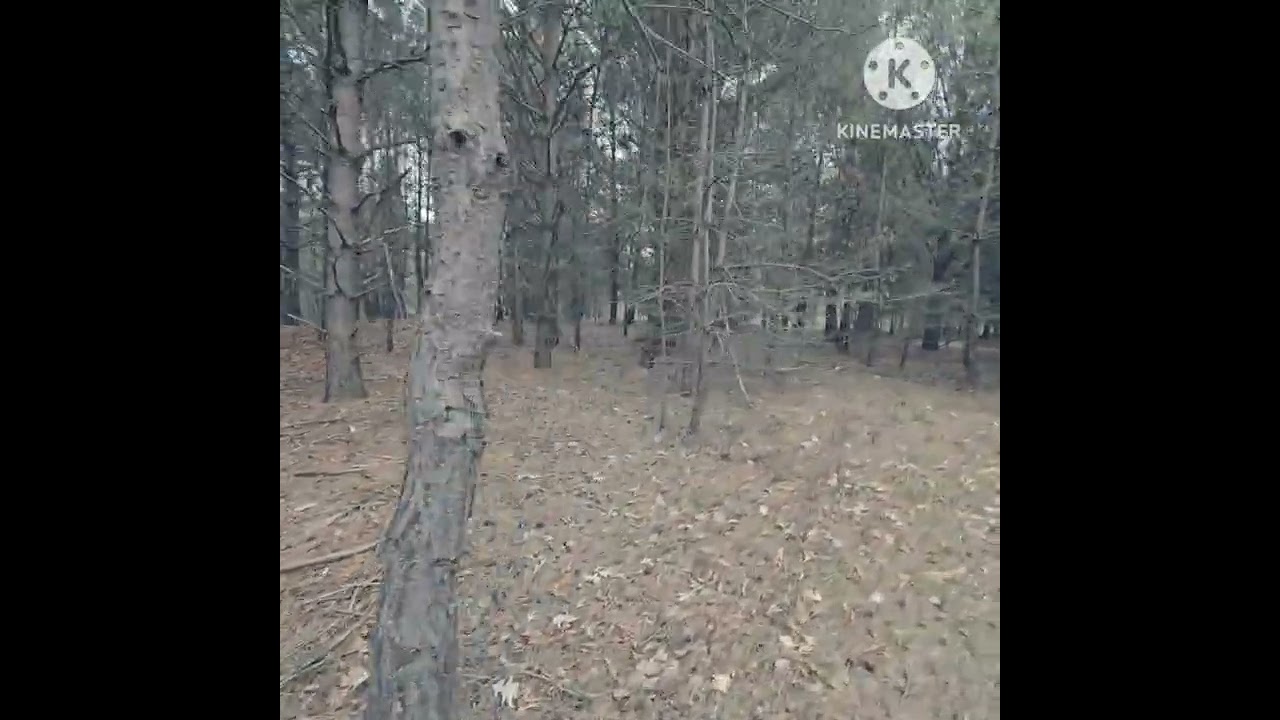 What's Five AU Between Friends?