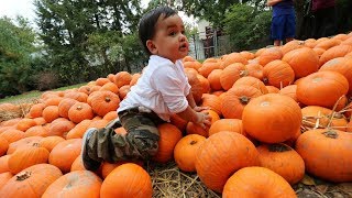 Baby’s First Time At The Farm