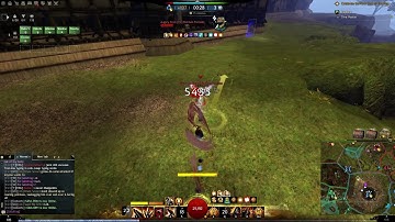 Why In WvW the  1v1 is a M E M E