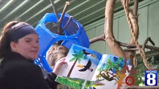 Niabi Zoo Animal Tales featuring zookeeper Andrea and Sal the Sloth
