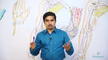 ULNAR NERVE - origin ,course , branches , clinical anatomy ( Fast track mode )
