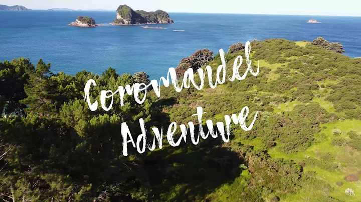 Cathedral Cove | Donut Island | Coromandel New Zealand | 4K | DJI Mini 2 | GoPro Hero 8